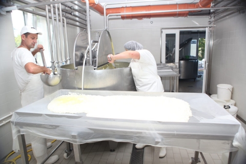 Биљана Крин Рожанство